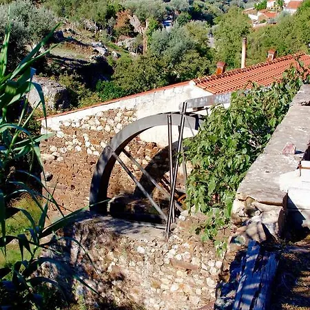 Casa de Campo Casas Do Almourão