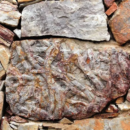 Casa rural Casas Do Almourao *